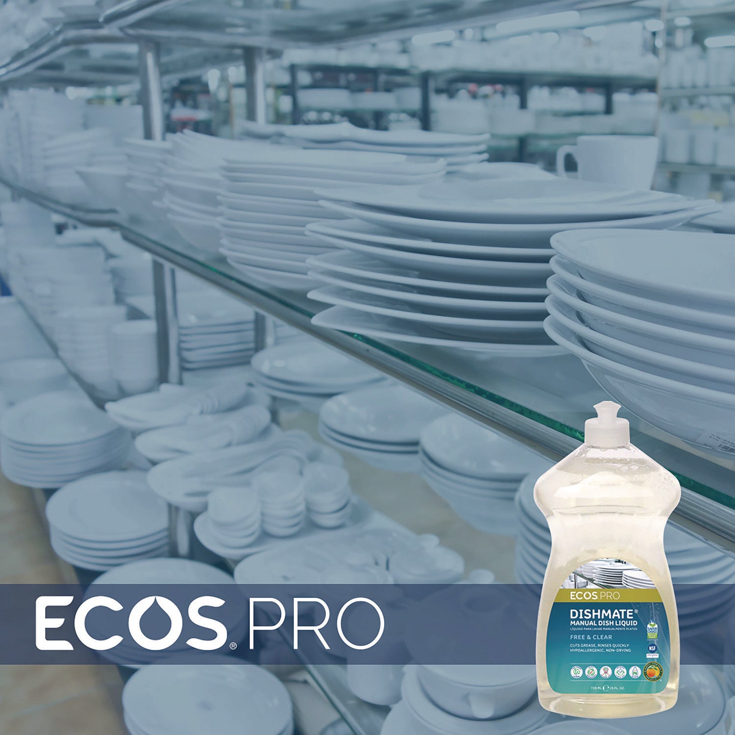 EOPPL97216CT