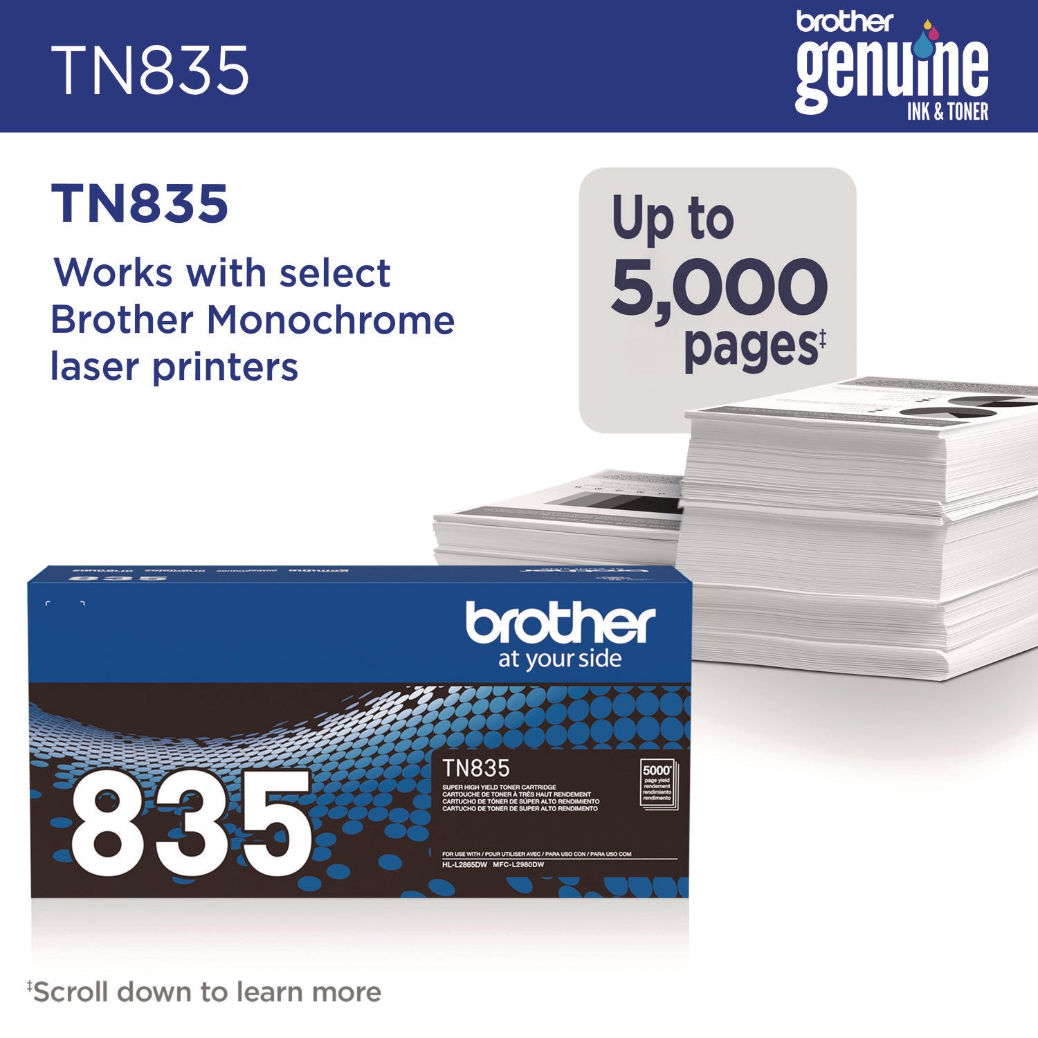 BRTTN835