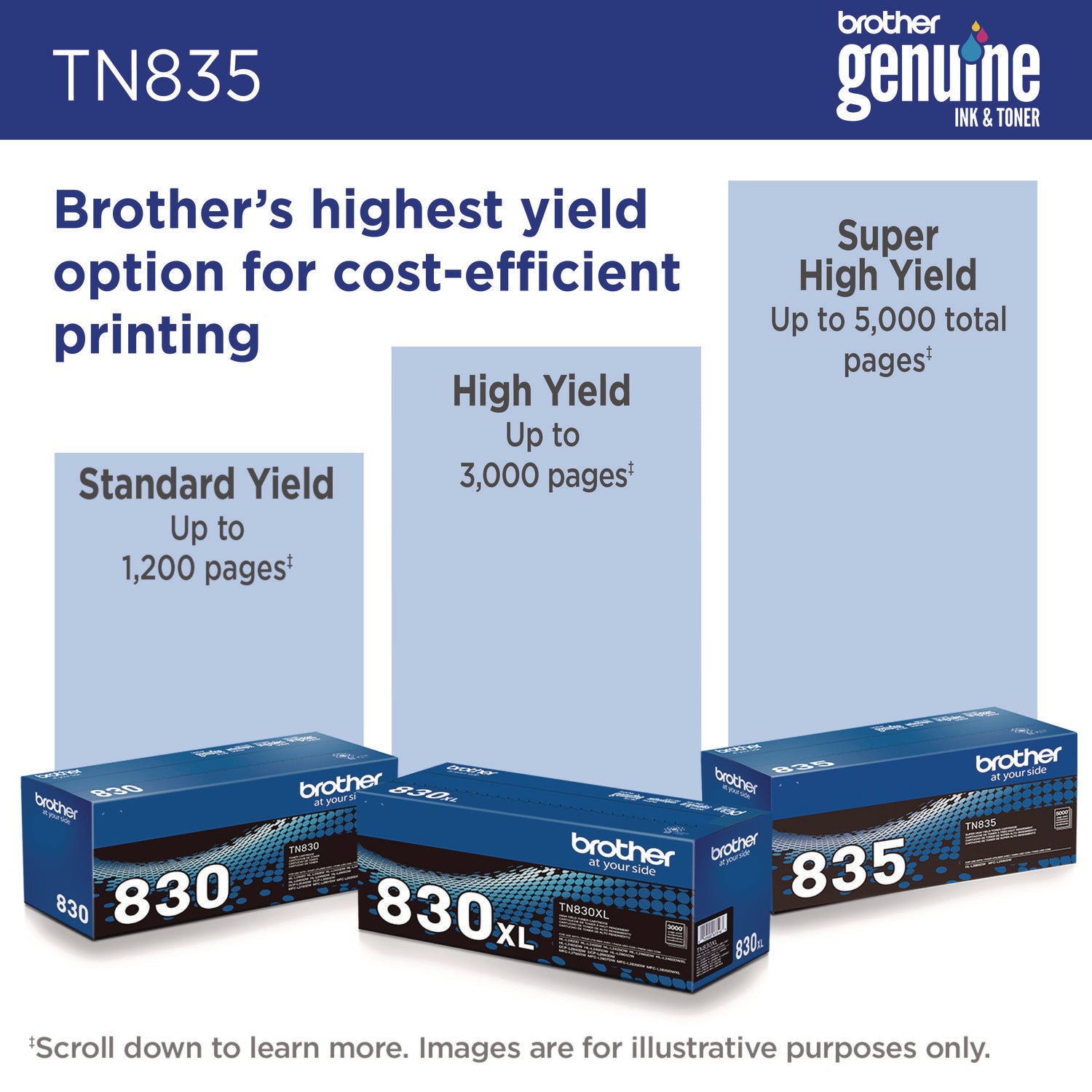 BRTTN835