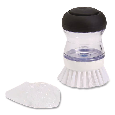 OXO36481