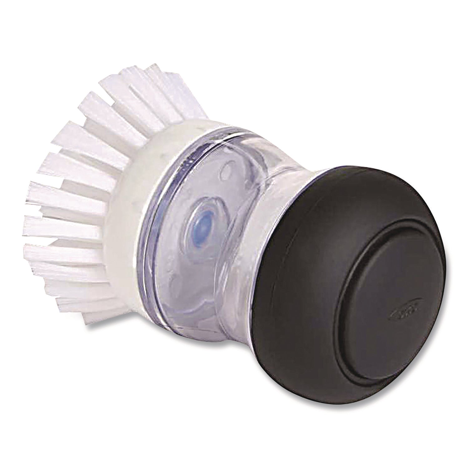 OXO36481