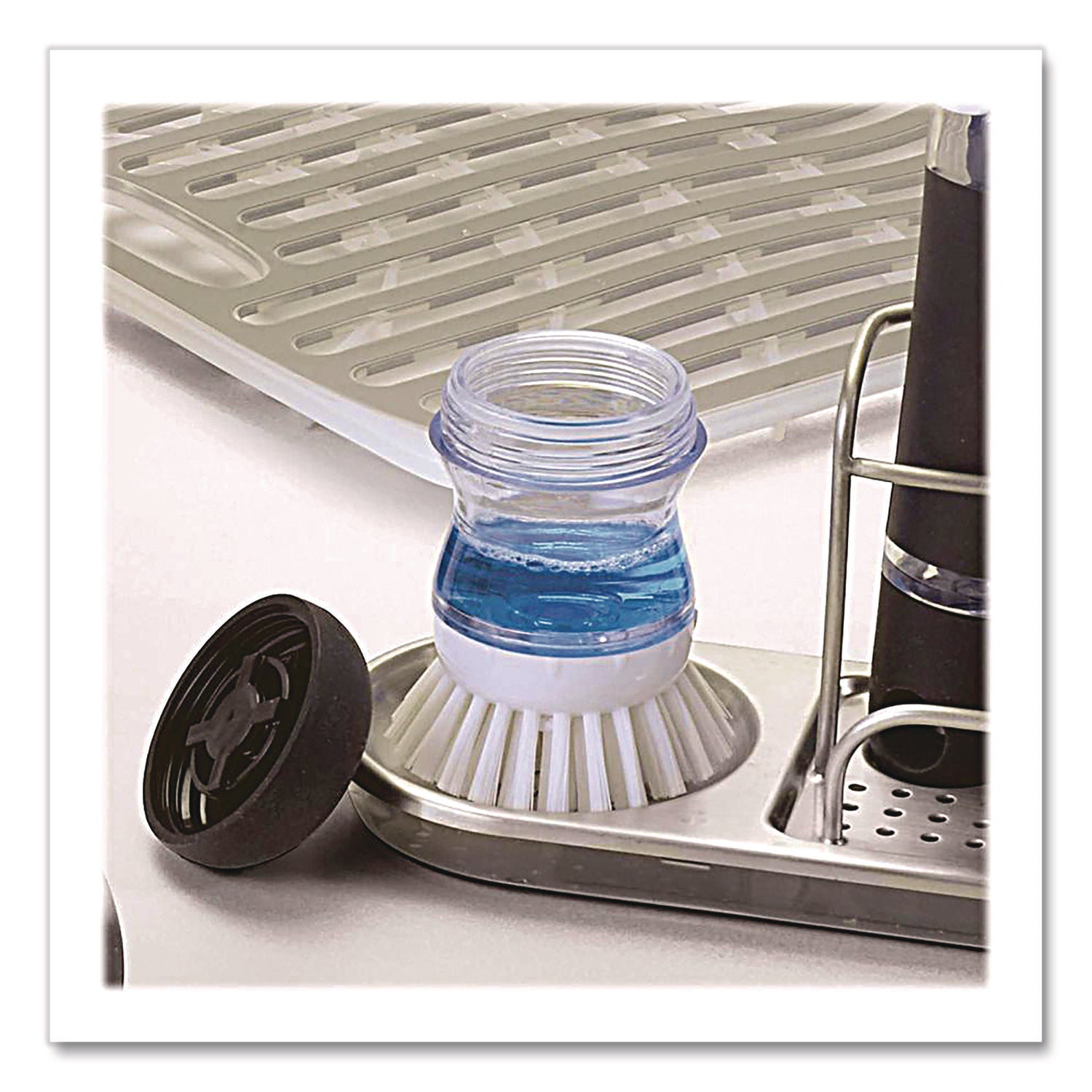 OXO36481