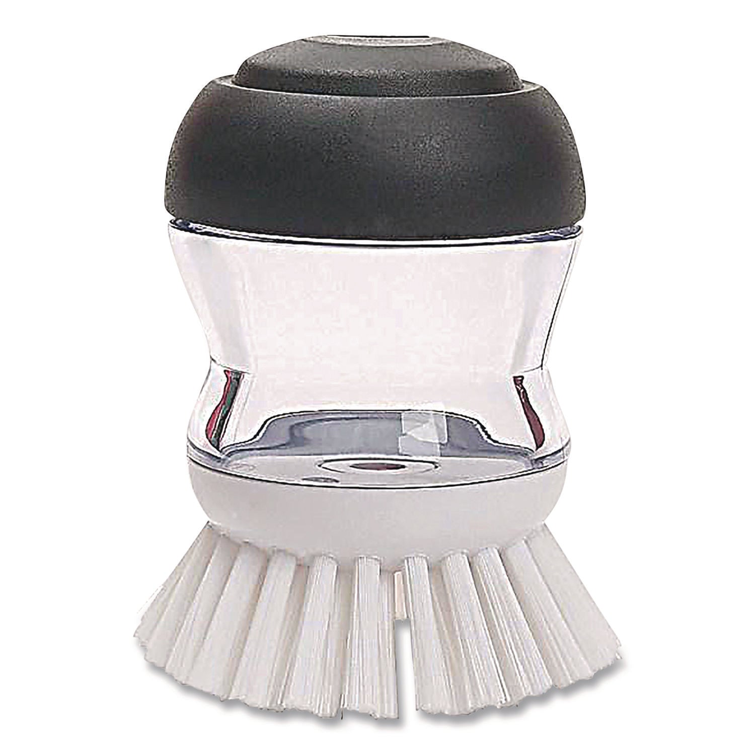 OXO36481