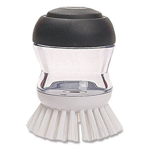 OXO36481