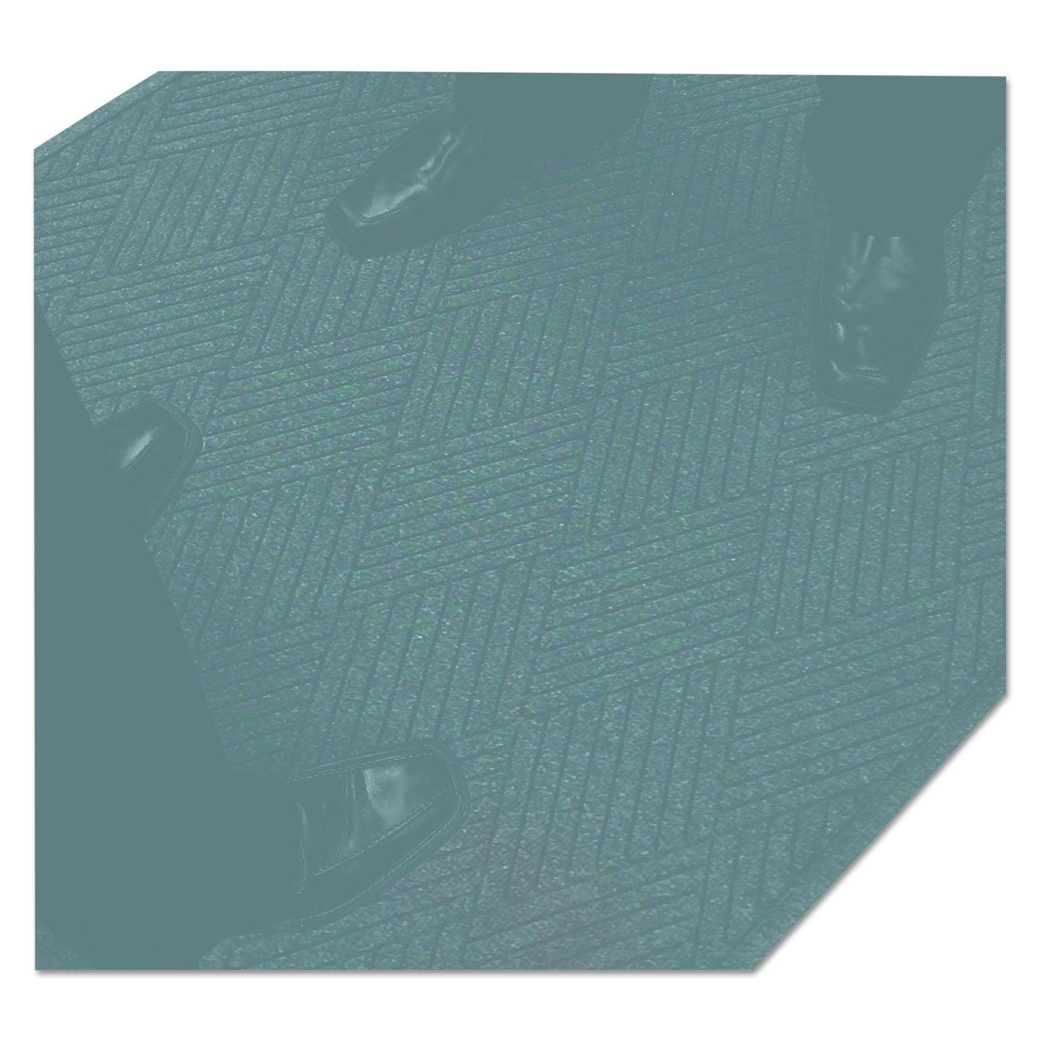 MLLEGDSF040804