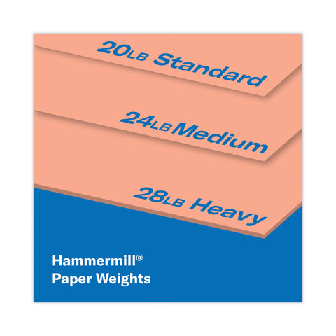 HAM103119