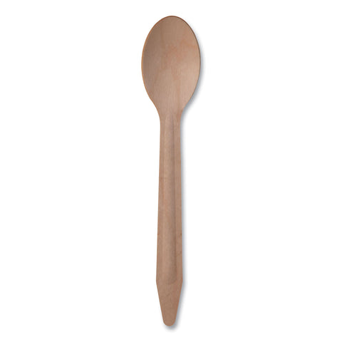 ECOEP-S213-W